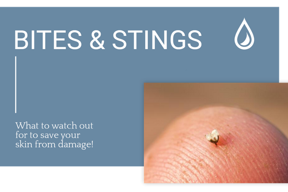 Bites and Stings - The Dermatology Specialists
