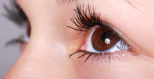 closeup of women's brown eye