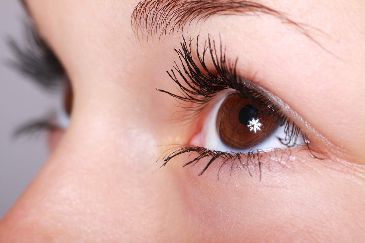 closeup of women's brown eye