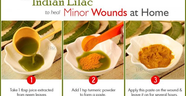 indian lilac for minor wounds