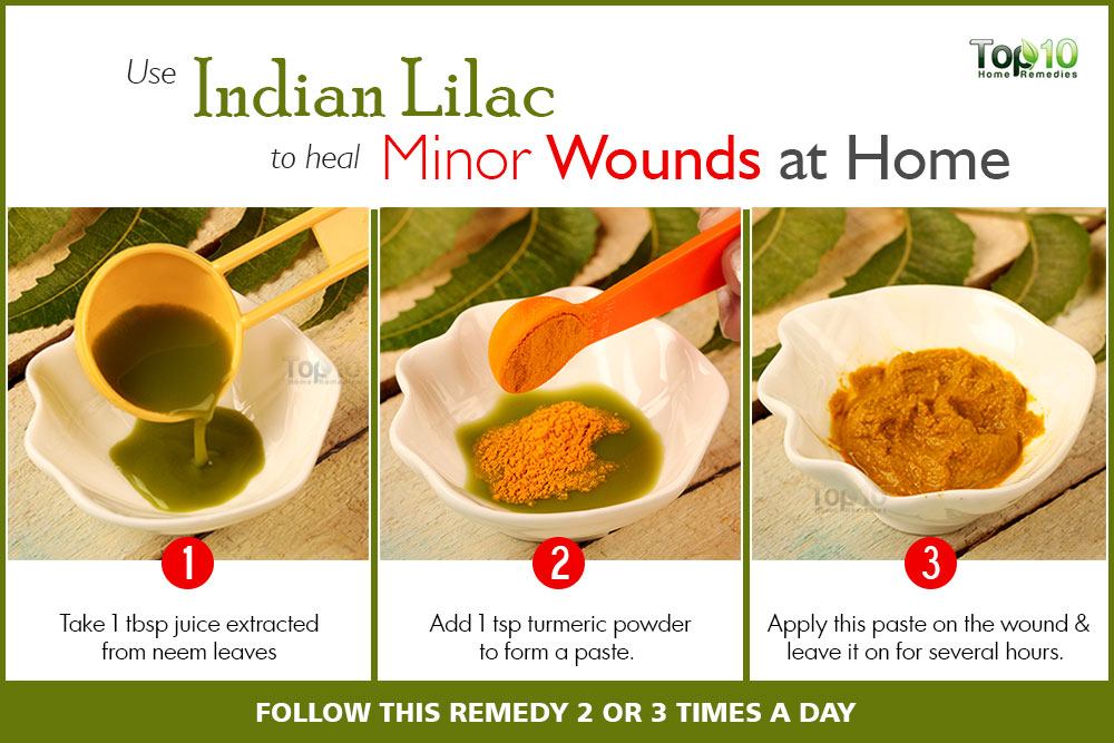 indian lilac for minor wounds
